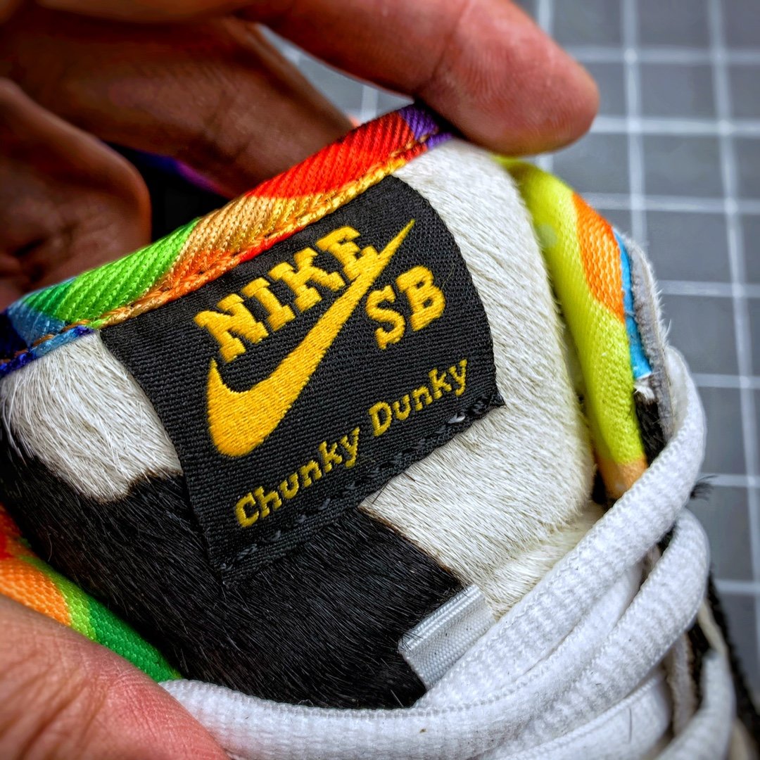 NIKE DUNK LOW SB BEN & JERRY’S CHUNCKY DUNKY
